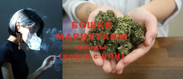 PSILOCYBIN Бронницы