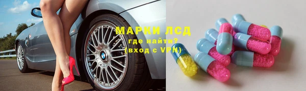 apvp Бородино