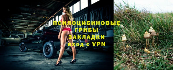 apvp Бугульма