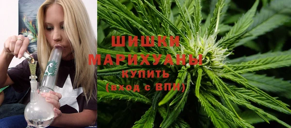 PSILOCYBIN Бронницы